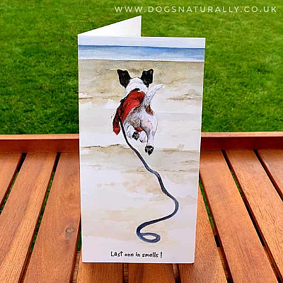 Last one in Jack Russell Dog Lover Card